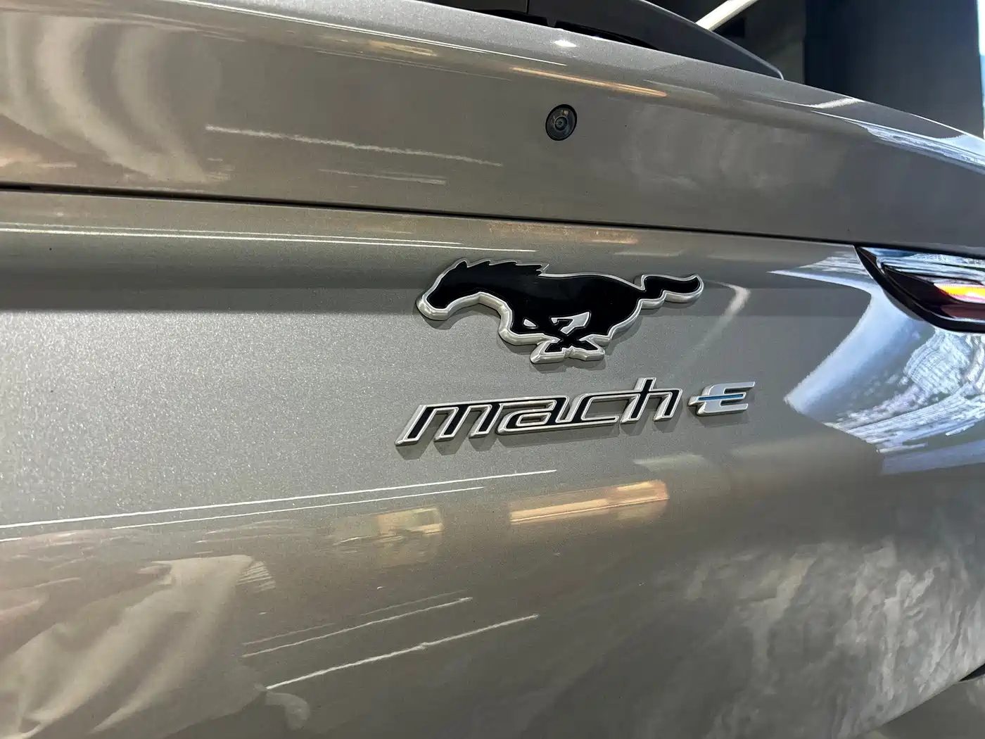 Ford Mustang Mach-E 2022 2021 Leap World RWD (Standard Range)
