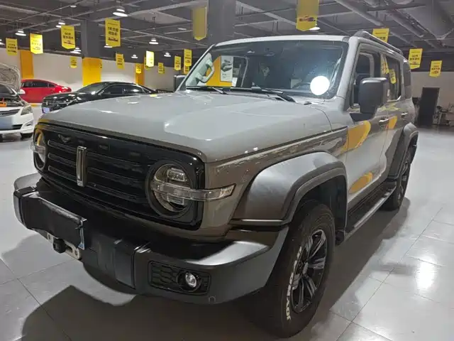  Tank Tank 300 2021 Off-road Version 2.0T Conqueror
