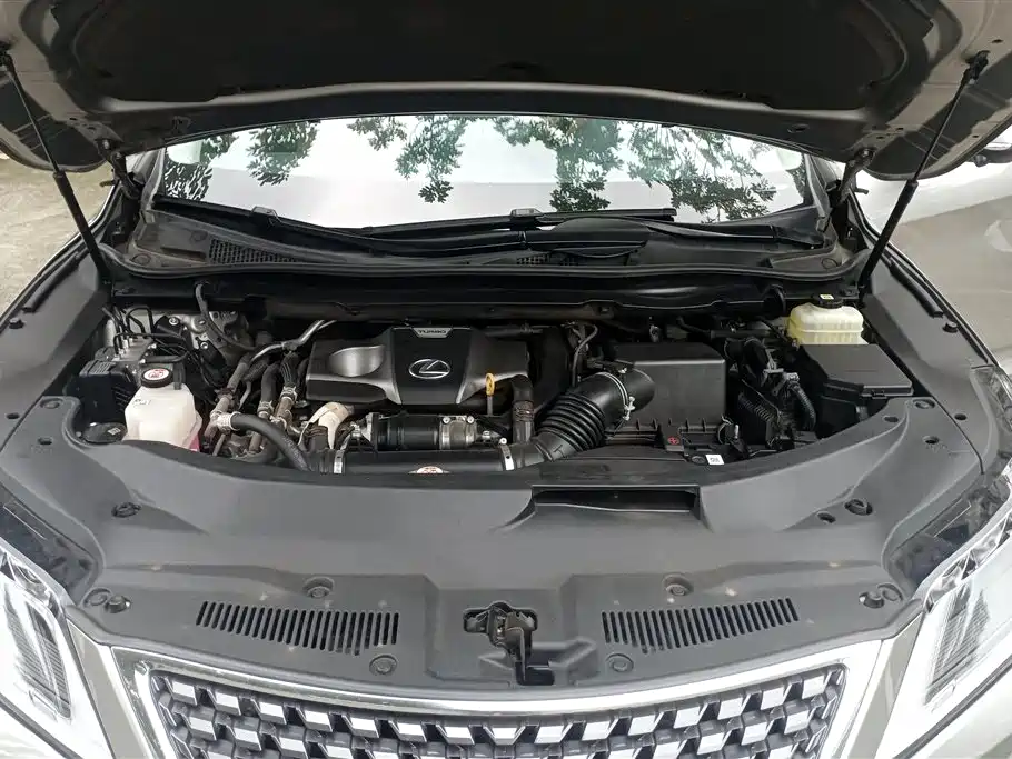 Lexus RX 2020 Facelift 300 AWD Elegance Edition фото 10