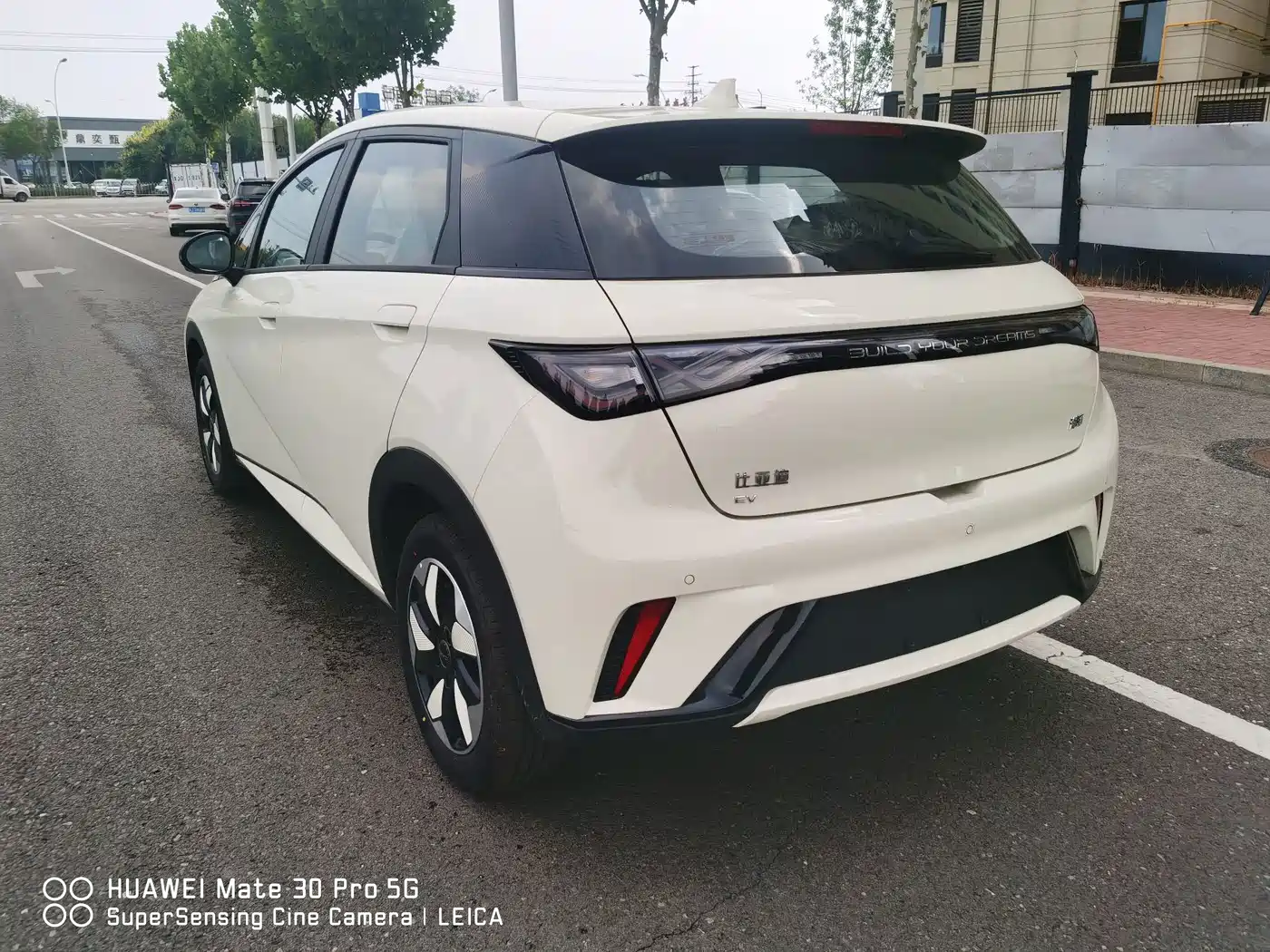 BYD Dolphin 2026 2025 420km Freedom Edition