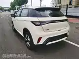 Фото 4 - BYD Dolphin