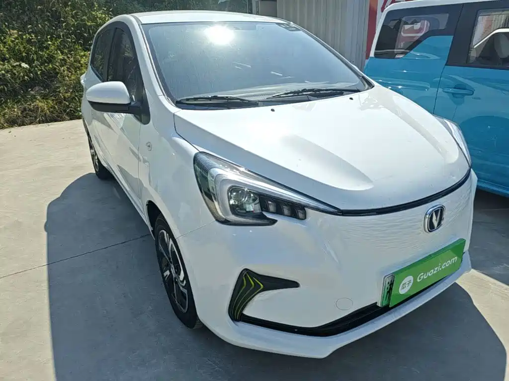 Photo 4 - Changan Benben E-Star