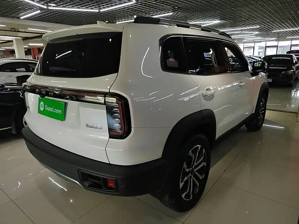 Фото 7 - Haval Big Dog