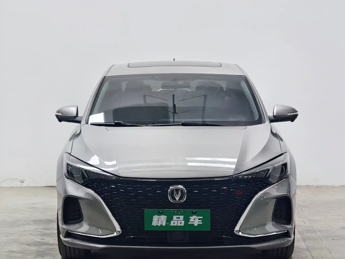 Фото 2 - Changan Eado