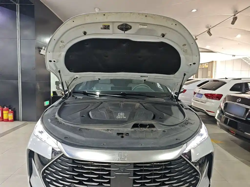 BYD Tang New Energy 2024 2024 DM-p Glory Edition 215KM AWD Premium