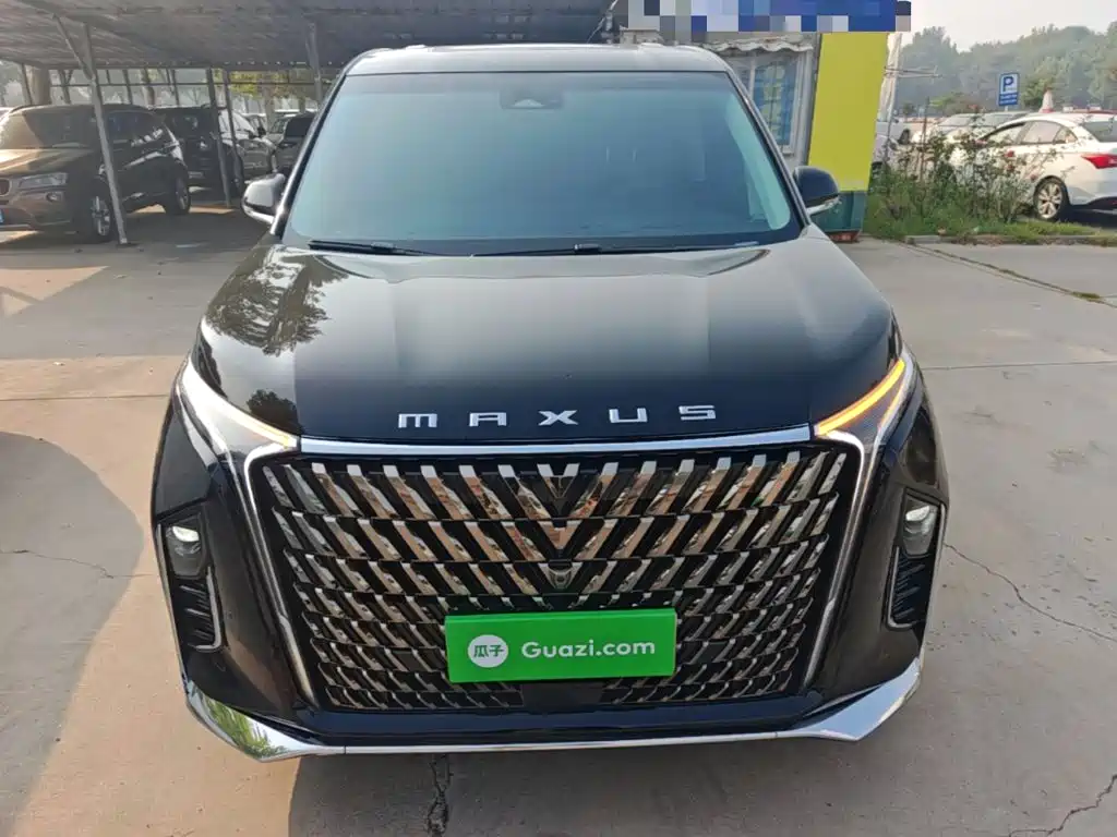 Фото 3 - Maxus Maxus G90