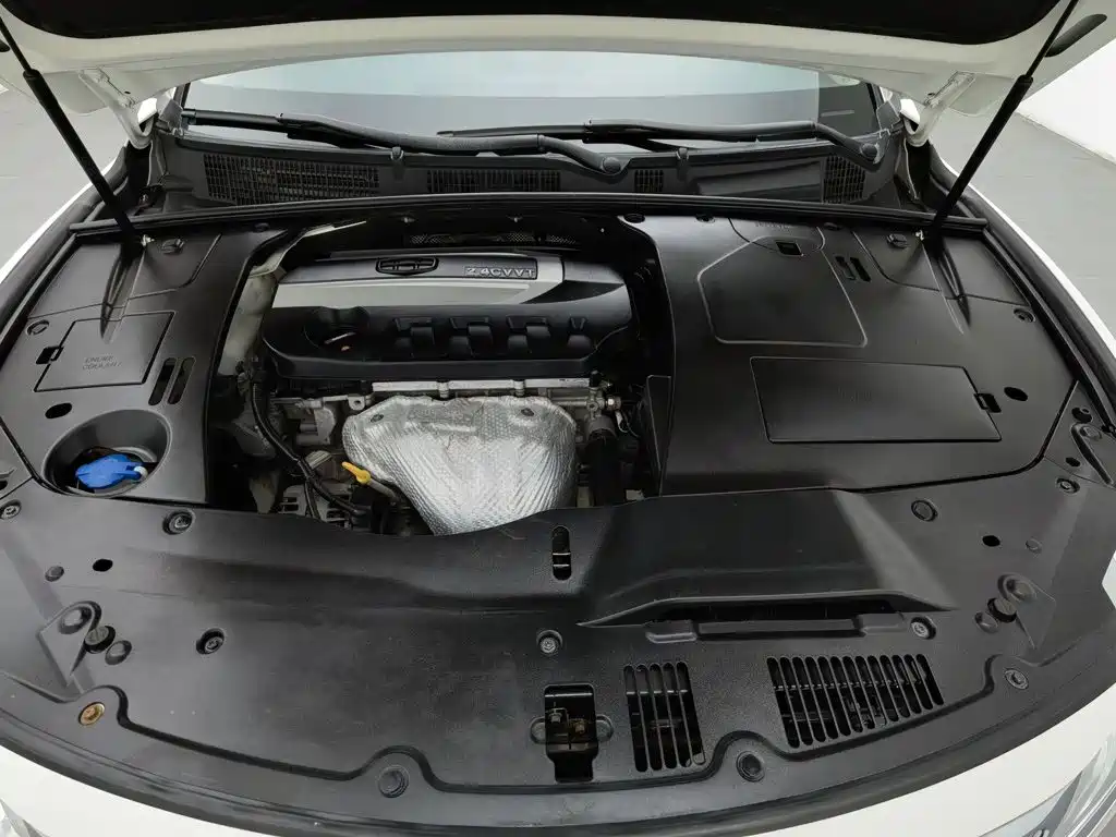 Фото 6 - Geely Borui
