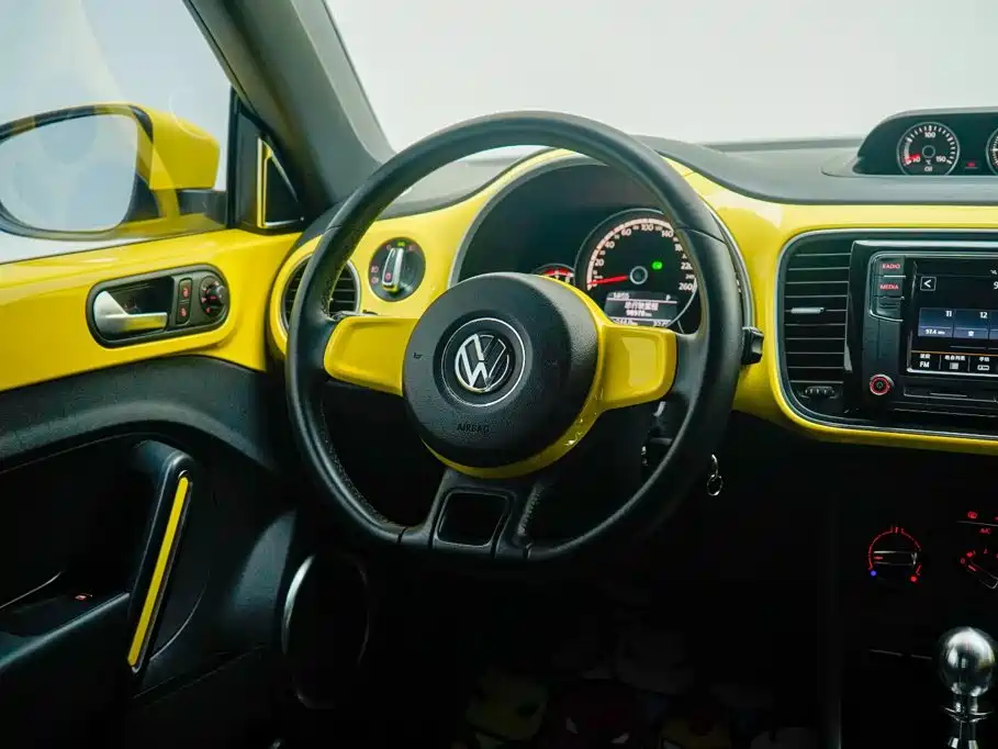 صورة 15 - Volkswagen Beetle