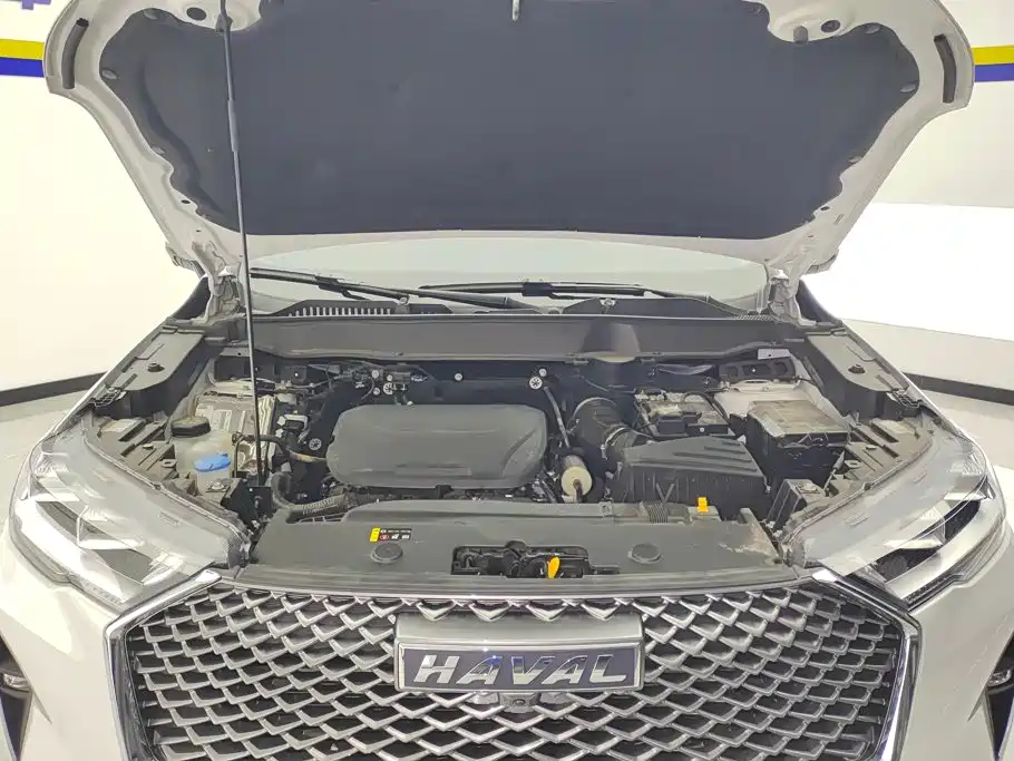 Haval H6 2025 2024 Model 1.5T 2WD Classic Edition