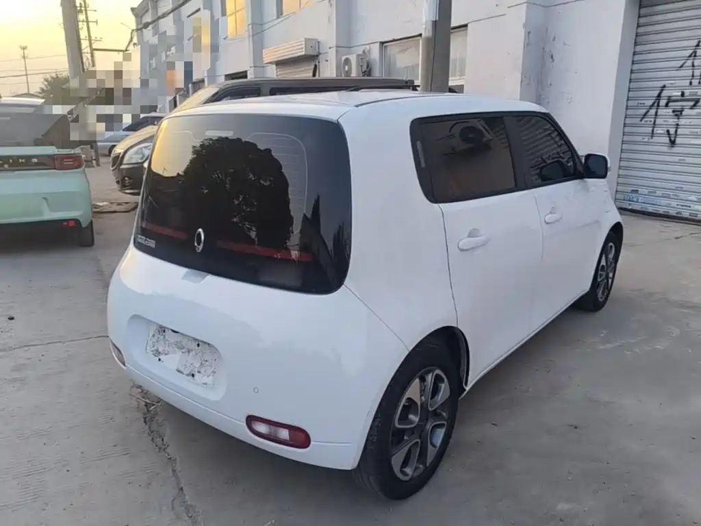 Ora White Cat 2020 2020 305km Luxury