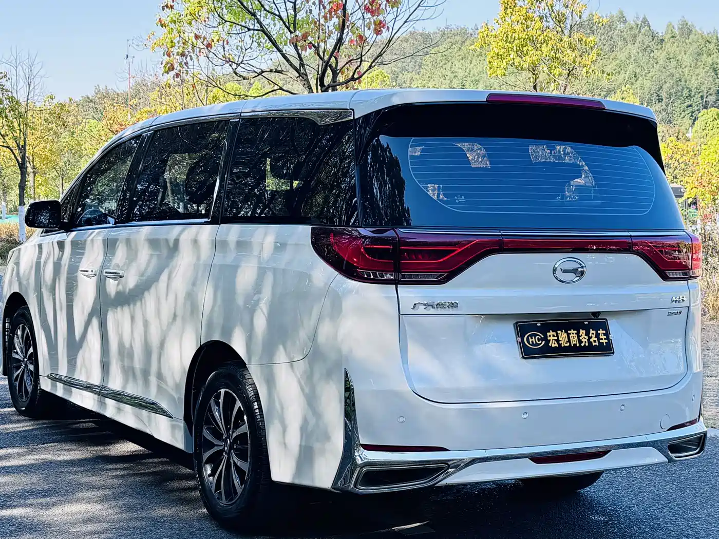 GAC Trumpchi Trumpchi M8 2023 Leading Series 390T Luxury Edition фото 7