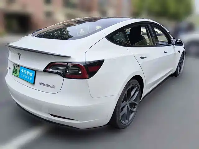 Tesla Model 3 2022 Performance High-Performance AWD — фото 5