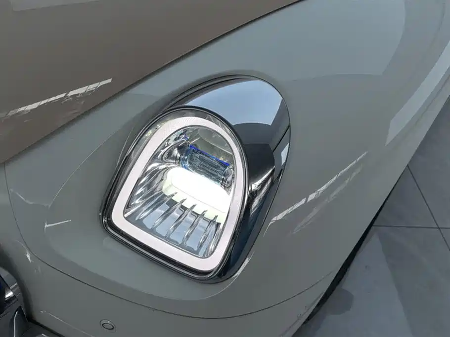 Ora Ballet Cat 2024 2023 401km Premium Model