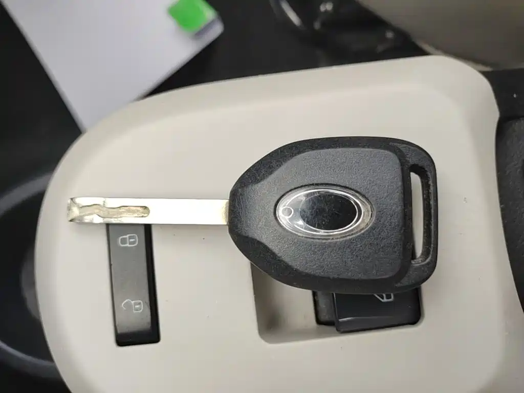 Ora Black Cat 2019 2019 Model 351km Smart Fun Edition