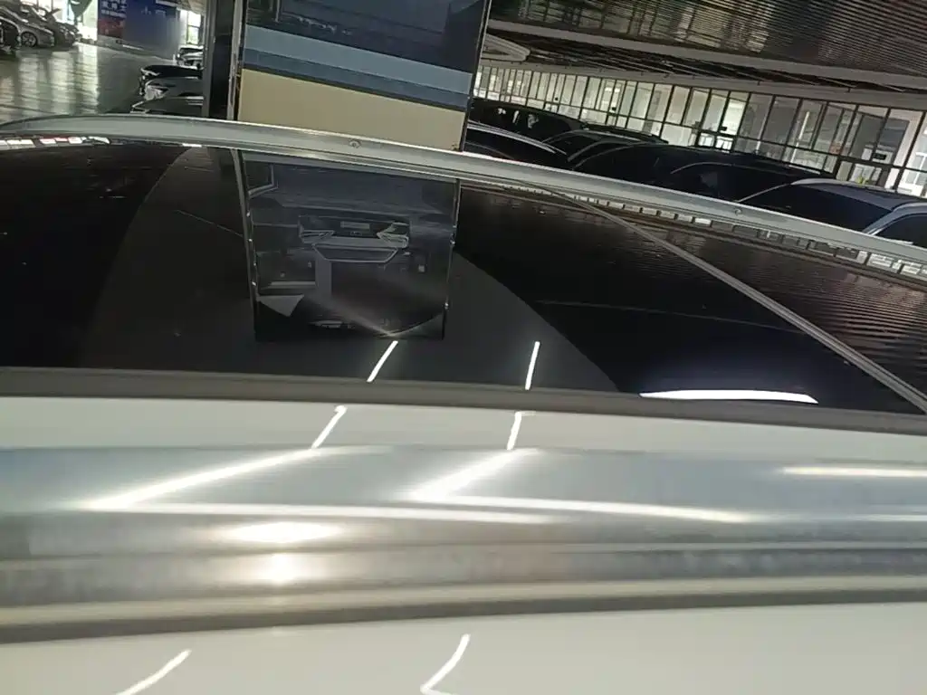 Denza X 2021 2020 Model PHEV Flagship Edition