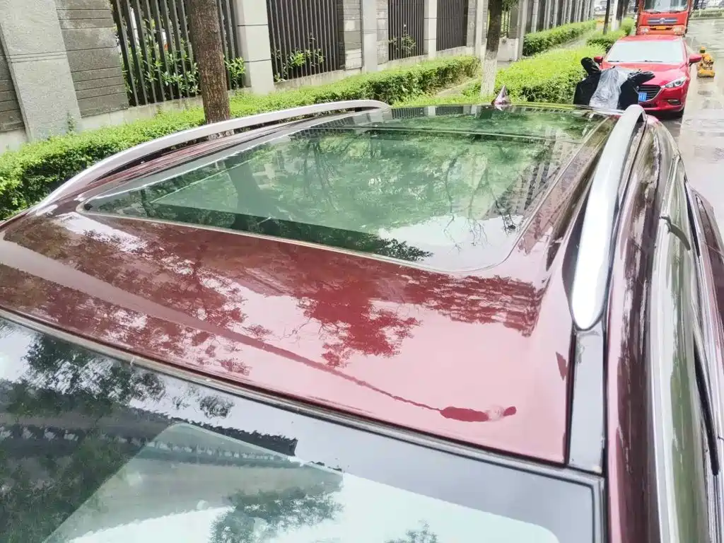 2018 Leopaard Mattu