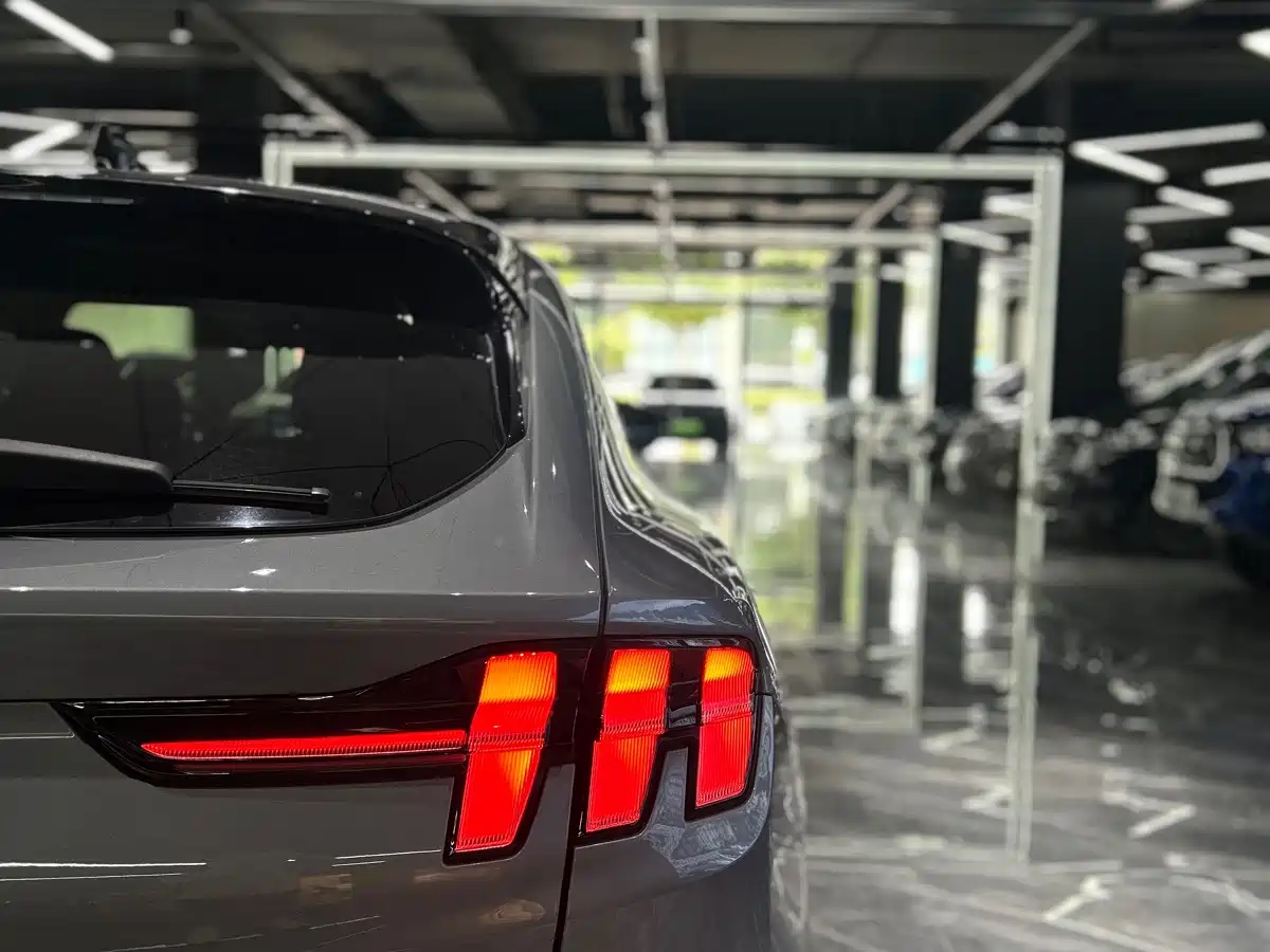 Ford Mustang Mach-E 2022 2021 Leap World RWD (Standard Range)