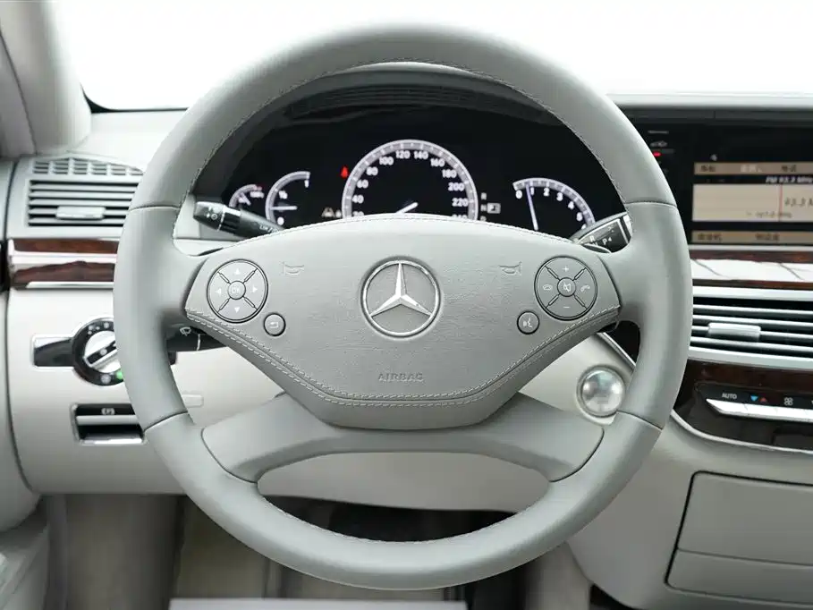 Mercedes-Benz S-Class 2010 S 300 L Luxury фото 10