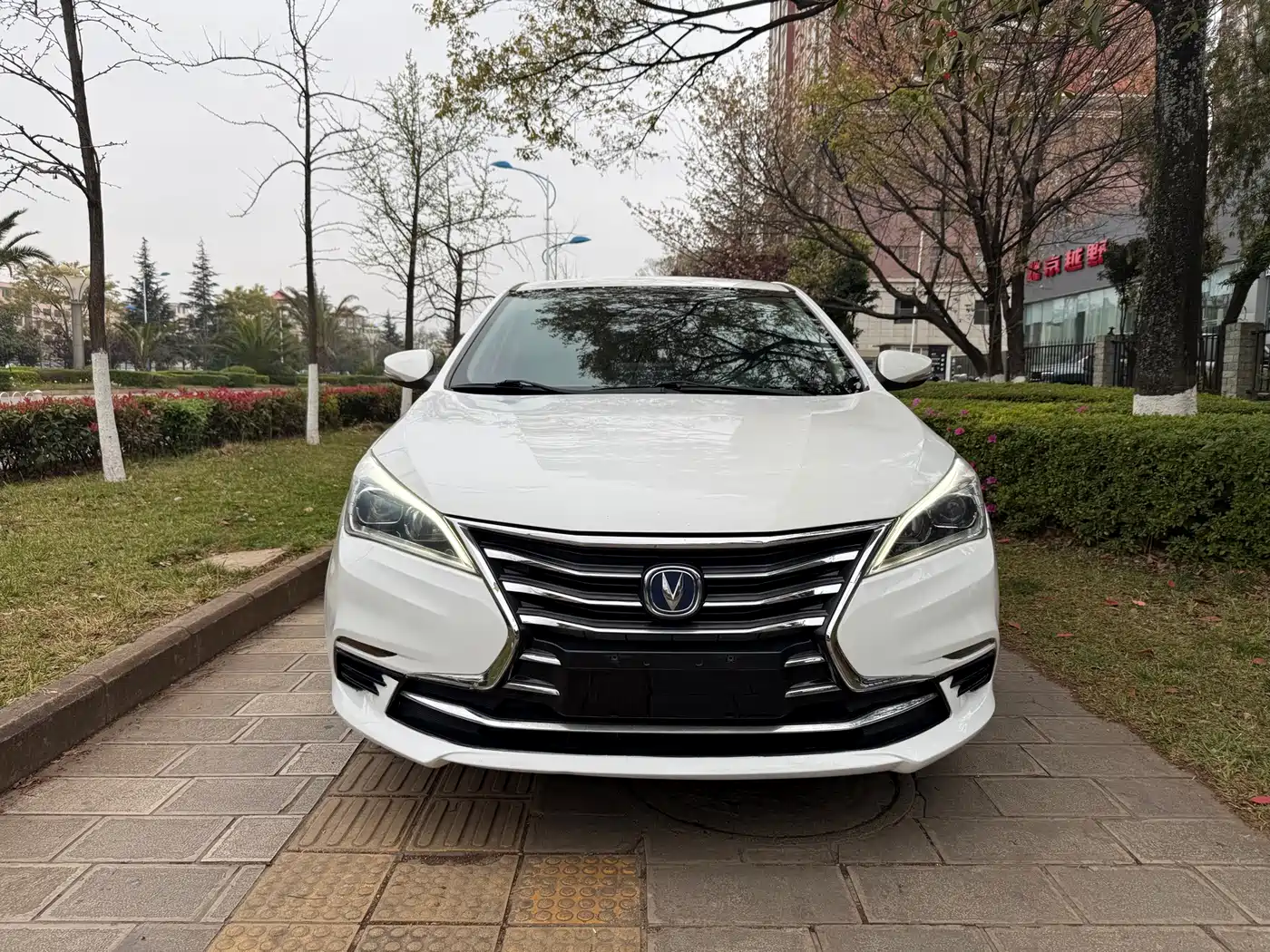 Changan Eado DT 2021 2021 1.6L Manual Luxury