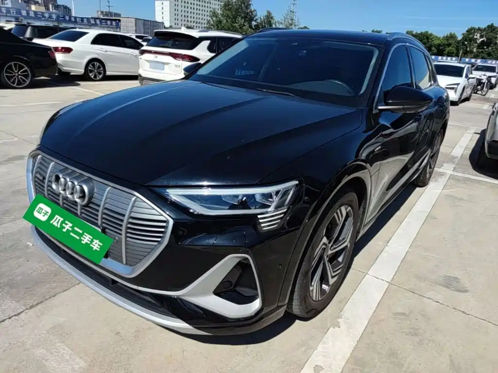 Audi e-tron 2022 2021 50 quattro Luxury