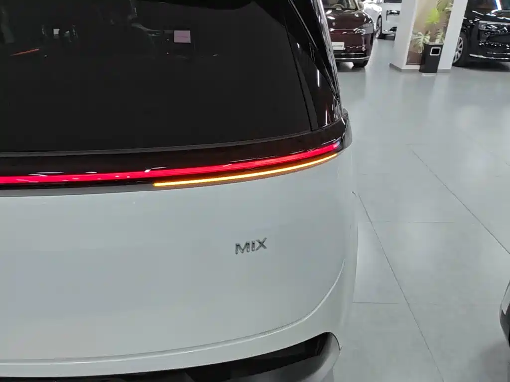 ZEEKR MIX 2026 2025 Smart Driving Edition