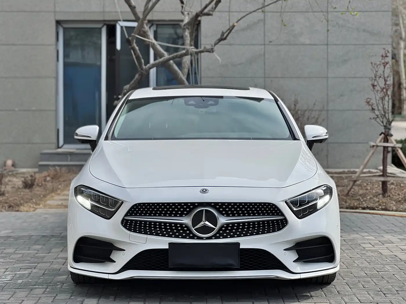 Mercedes-Benz CLS 2018 CLS 300 Luxury фото 2