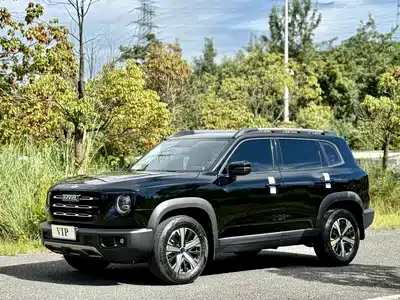 Haval Dargo