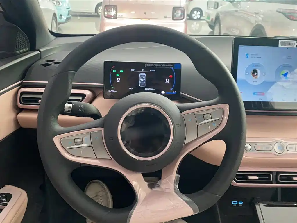 BYD Seagull 2026 2025 Smart Drive Edition 305km Vitality Version