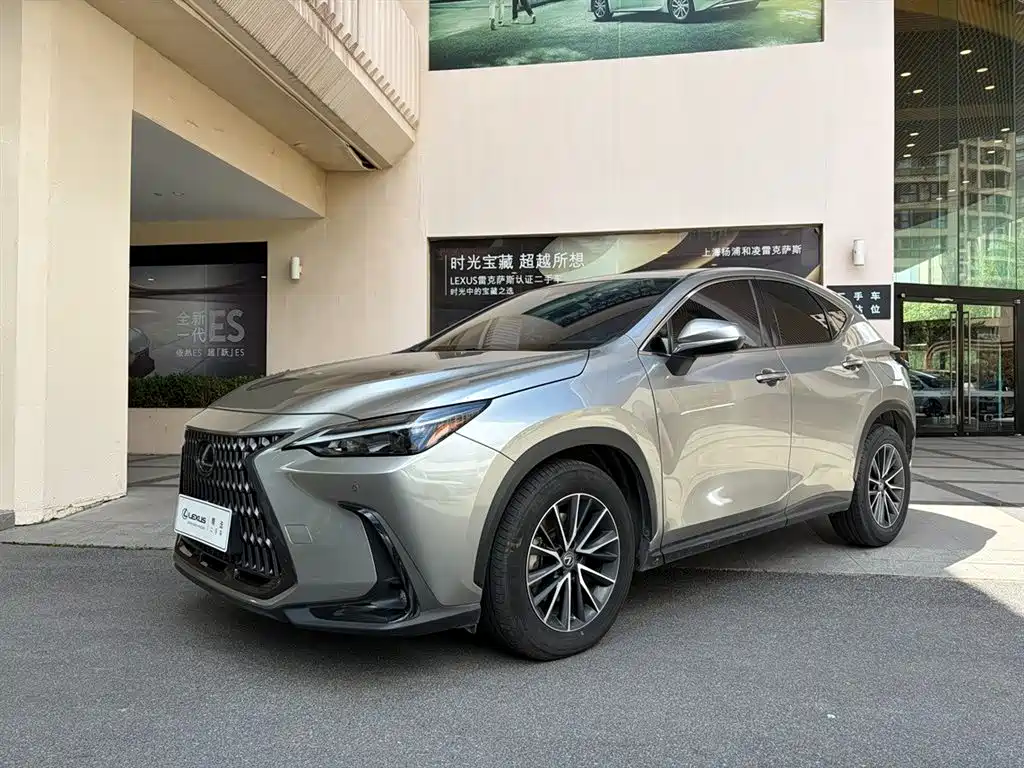 Фото 1 - Lexus NX