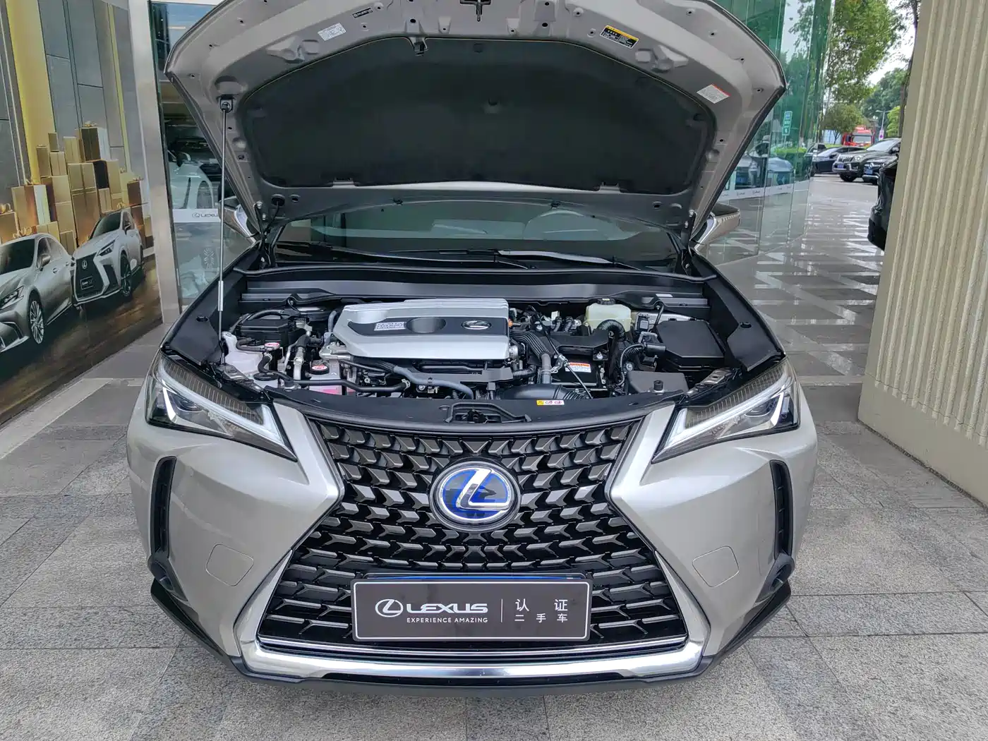 Lexus UX 2022 2020 260h Explore Cool Edition
