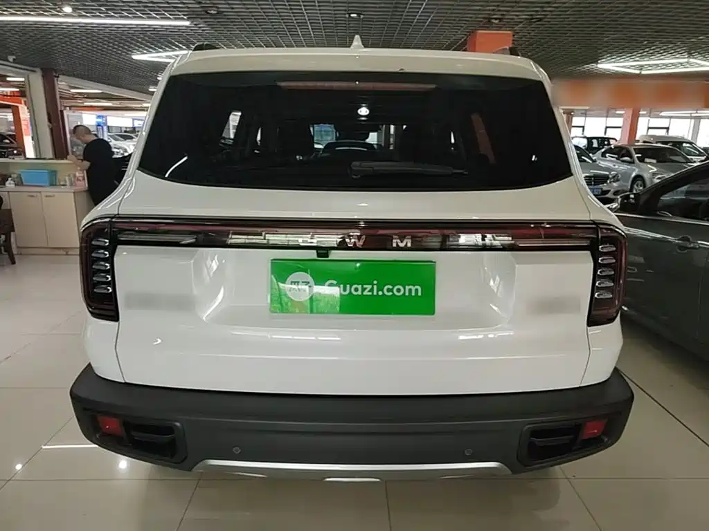 Фото 6 - Haval Big Dog