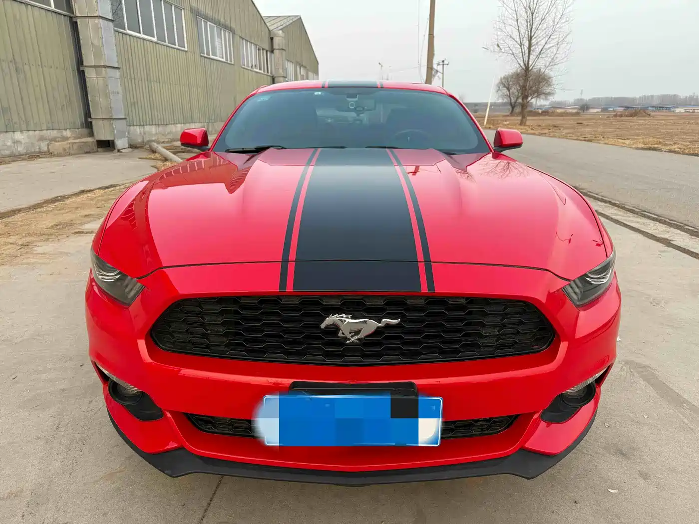 FORD MUSTANG