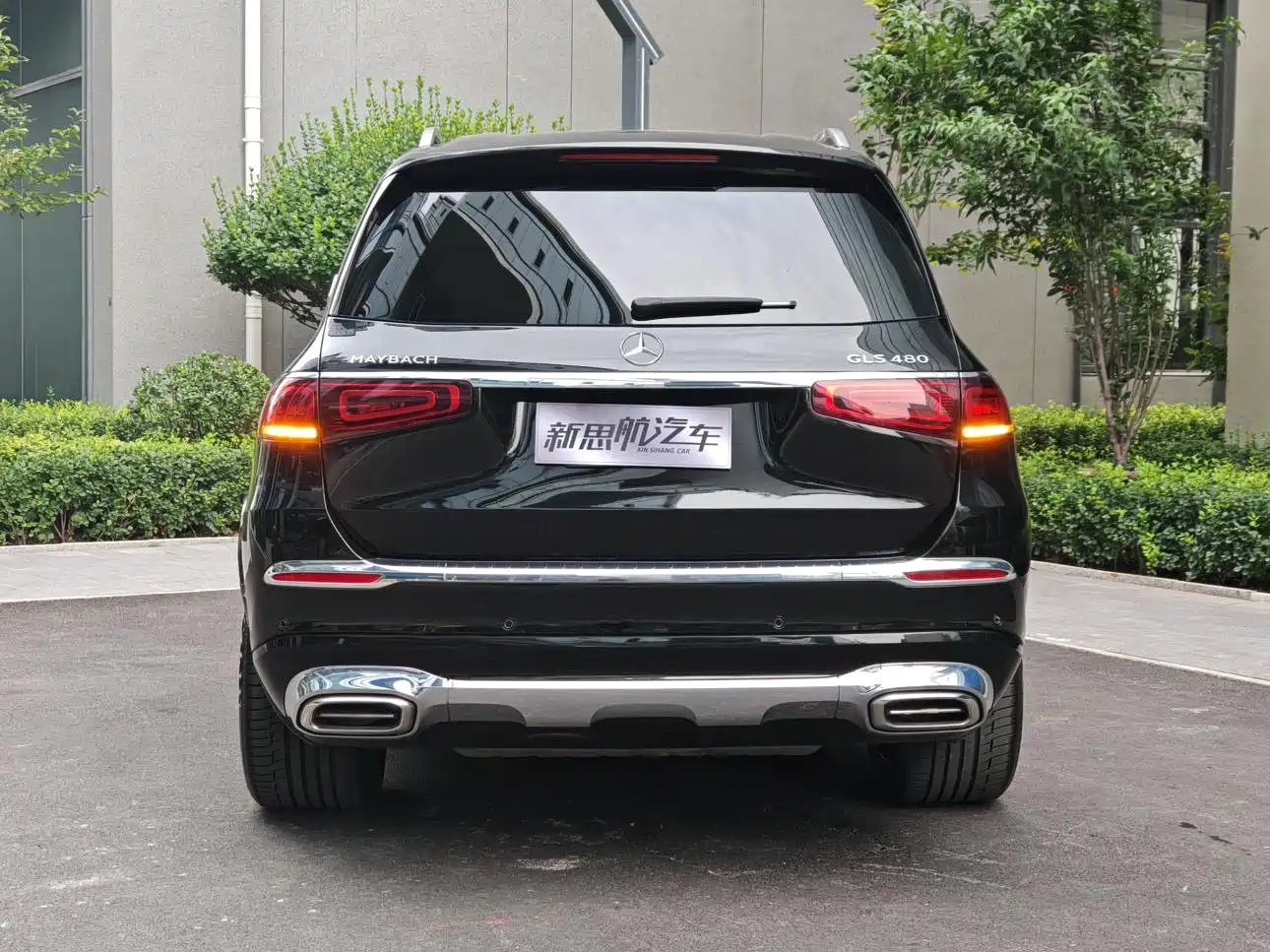 Mercedes-Benz Maybach GLS 2021 GLS 480 4MATIC фото 3