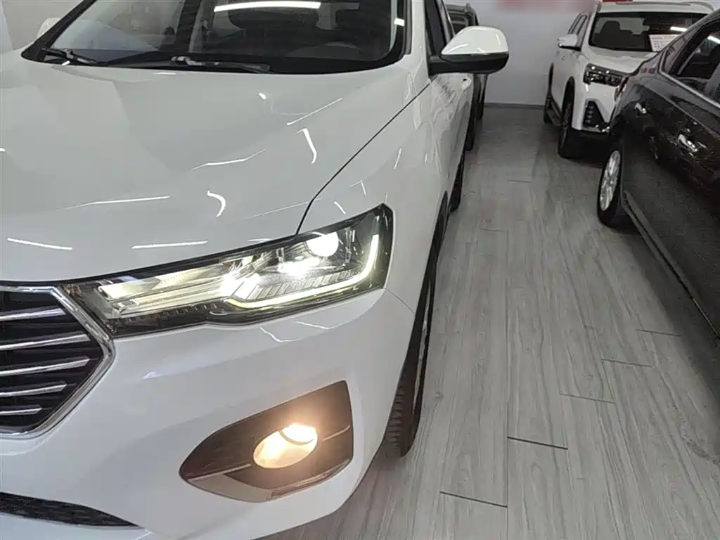 Haval H4 2019 1.5GDIT DCT Luxury Smart Connection China VI фото 24
