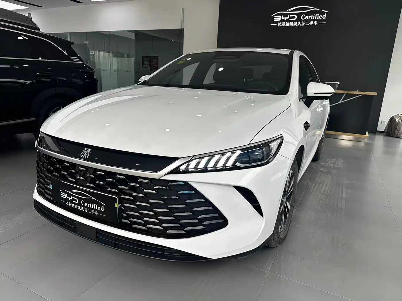 BYD Qin PLUS 2025 DM-i Smart Drive Edition 120KM Surpassing Type
