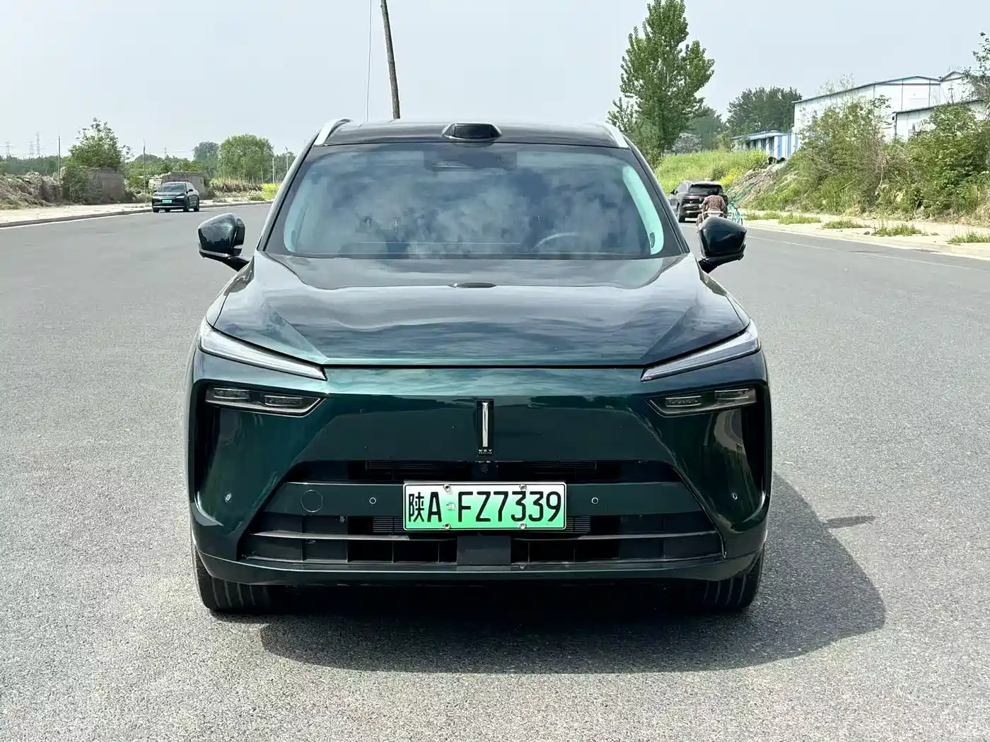 WEI PAI WEI BRAND BLUE MOUNTAIN