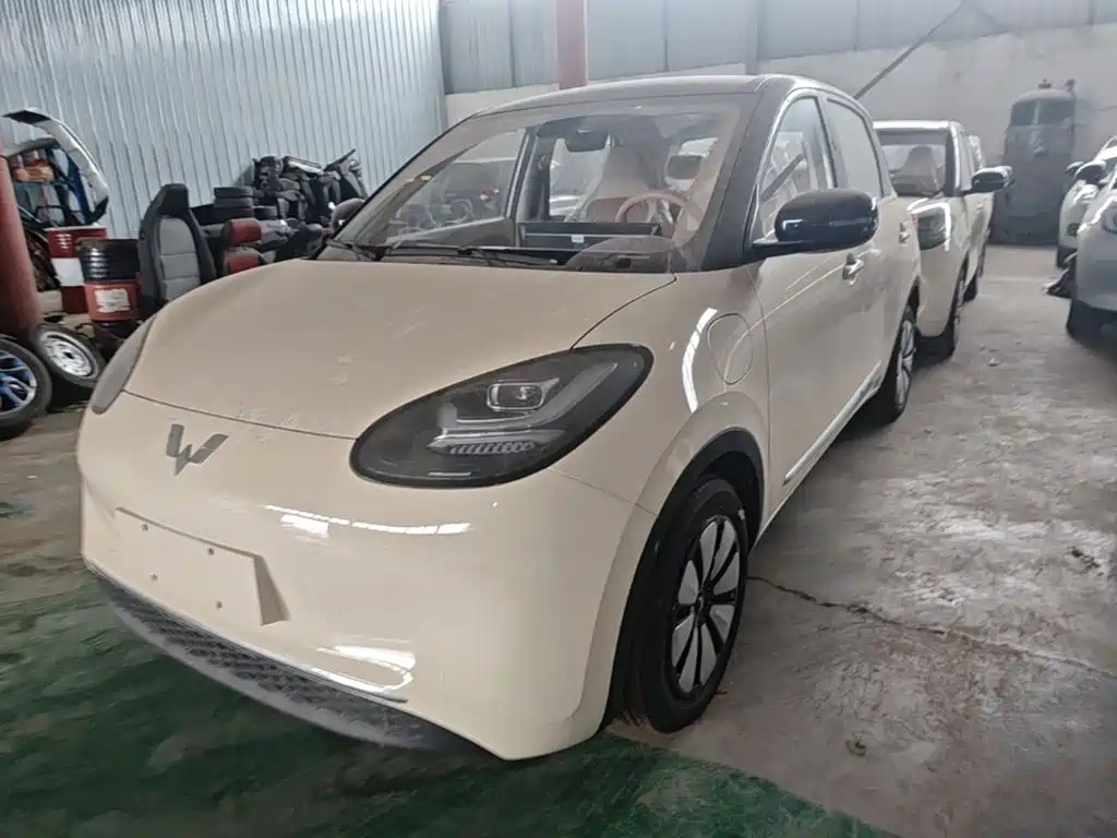 Wuling Motors Wuling Bingo 2026 2025 Model 333km Joy Edition