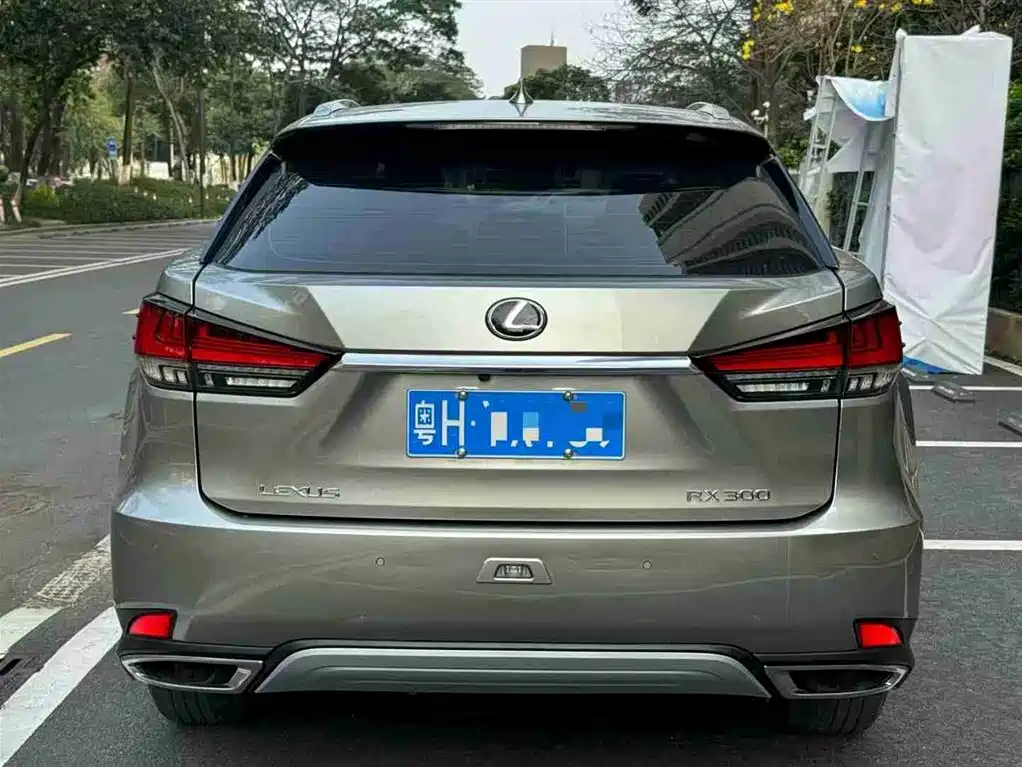Lexus RX 2020 300 2WD Comfort Edition China V фото 5