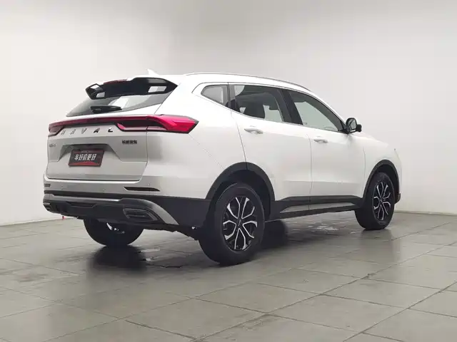 Haval H6 2023 National Trend Edition 1.5T Automatic Urban — фото 2