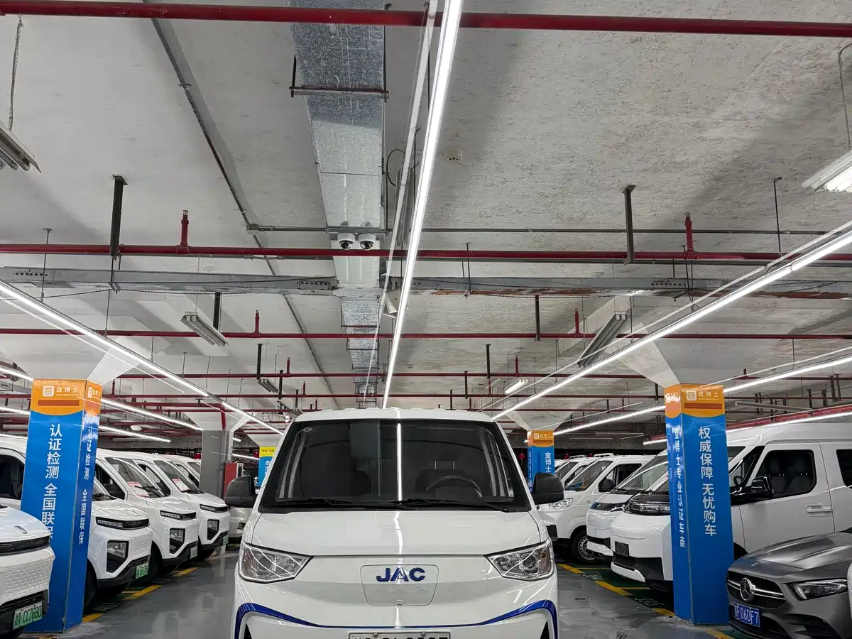 2023 JAC Motors Blue Cat