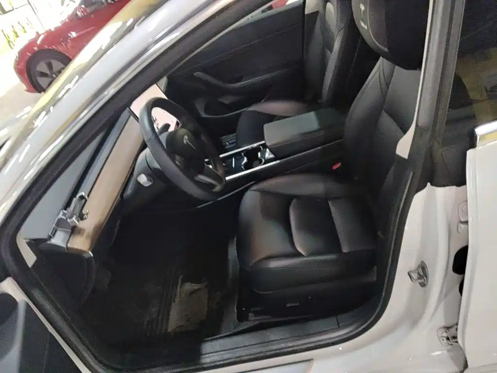 Tesla Model 3 2020 2020 Standard Range Rear-Wheel Drive Upgrade