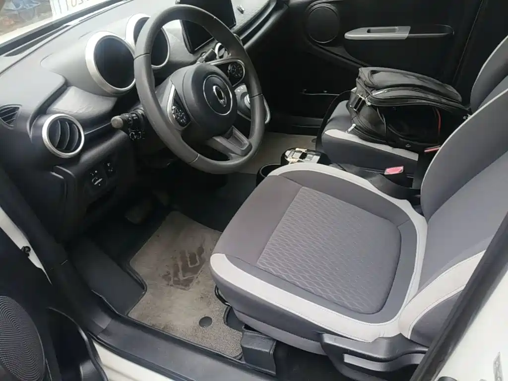 Ora Black Cat 2019 2019 Model 351km Smart Intelligence Edition
