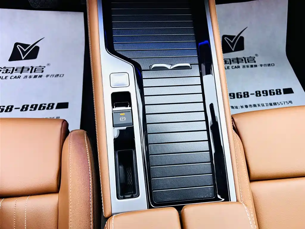 Volkswagen Magotan 2024 300TSI DSG Premium Edition (Eye-catching Package) фото 15