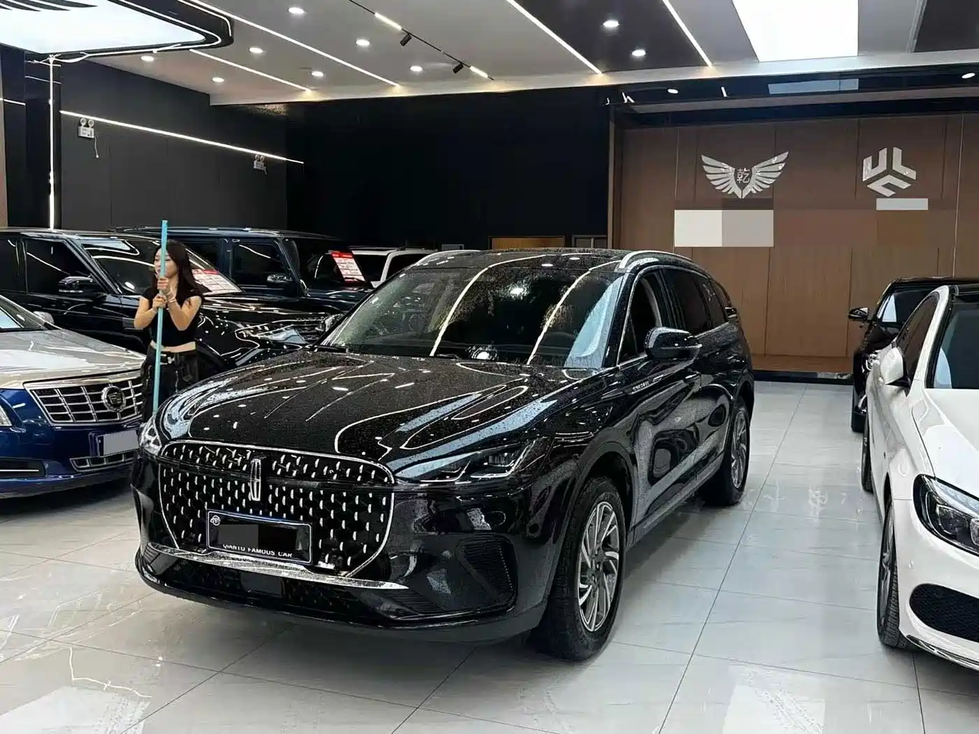 Lincoln Adventurer 2025 2024 2.0T FWD Exclusive Edition