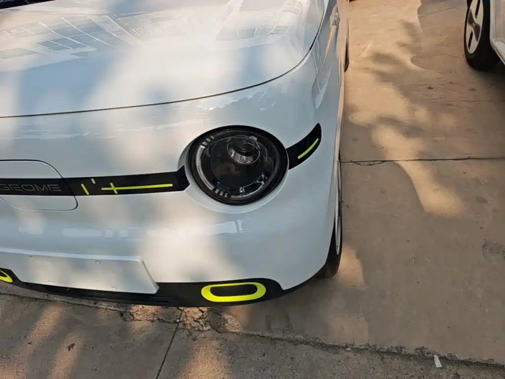 Geely Galaxy Panda 2026 2025 Panda mini 210km Vitality Bear