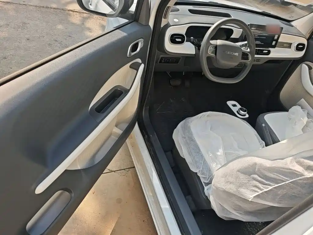 Geely Galaxy Panda 2026 2025 Panda mini 210km Vitality Bear