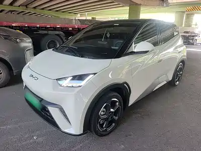 BYD Seagull