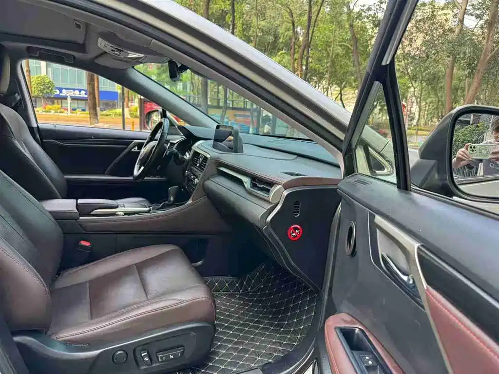 Lexus RX 2020 300 2WD Comfort Edition China V фото 8