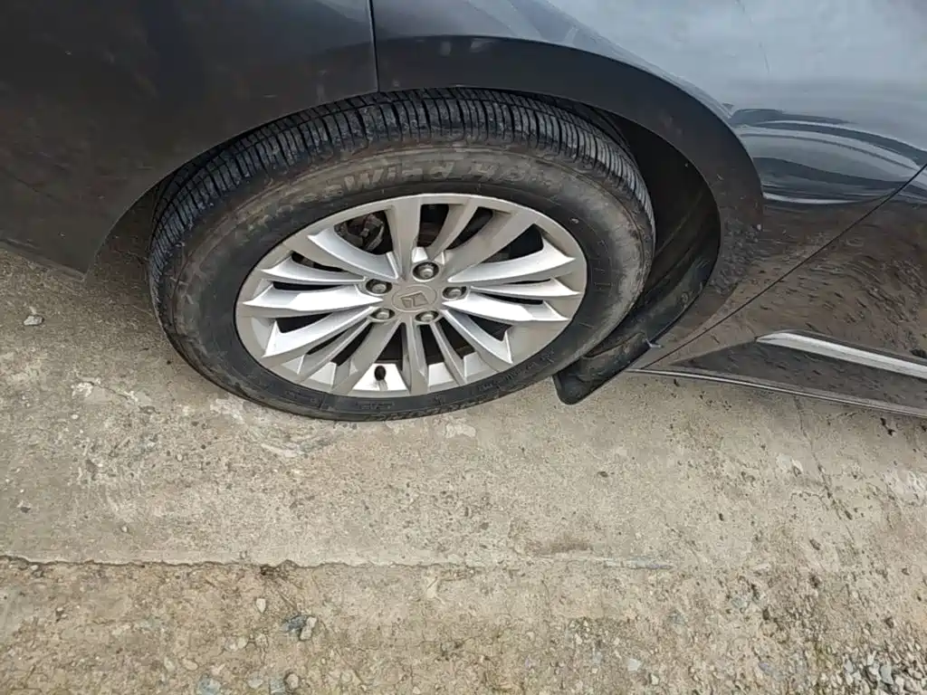 Baojun Valli 2021 2021 1.5T Dali Sky CVT Premium