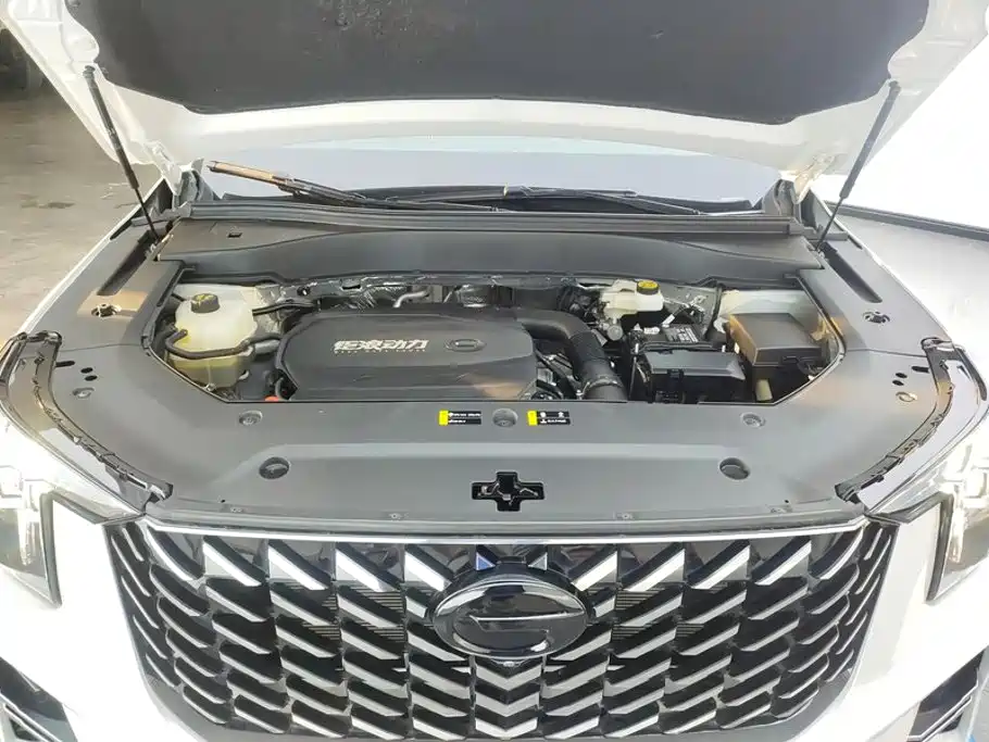 GAC Trumpchi Trumpchi GS8 2024 2025 Pilot Series 2.0TGDI 2WD Luxury Edition 5-seater
